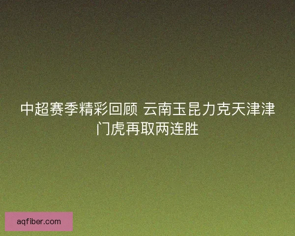 中超赛季精彩回顾 云南玉昆力克天津津门虎再取两连胜